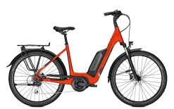 Vélo électrique Entice 1.B Move - 500Wh (2022)