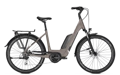 Vélo électrique Entice 1.B Move - 500Wh (2022)